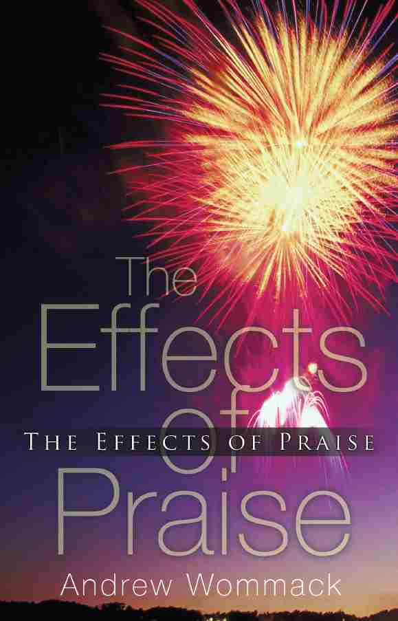 The Effects Of Praise (English) 309